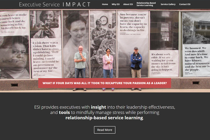 Executive Service Impact Website